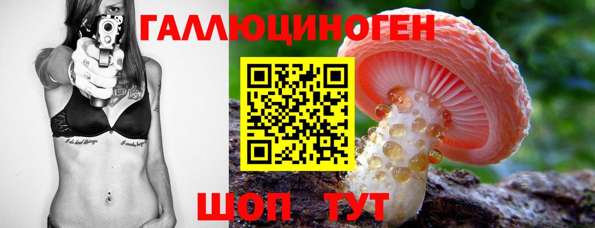 Галлюциногенные грибы Cubensis  Вход с VPN  Псилоцибиновые грибы Cubensis  что такое   Кольчугино 